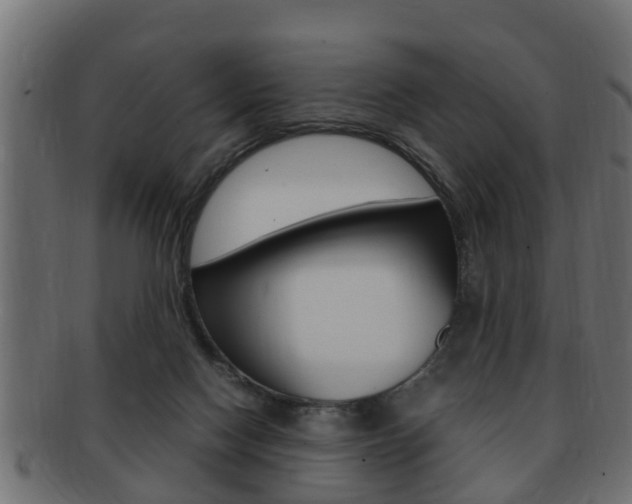 X0000092330074200709141126
