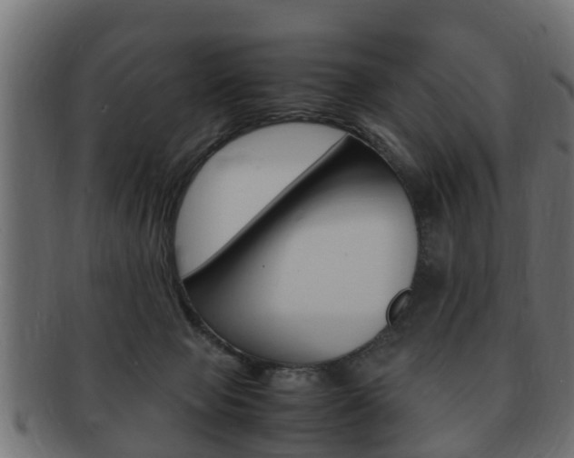 X0000092330077200709141126