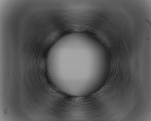 X0000092330078200709141126