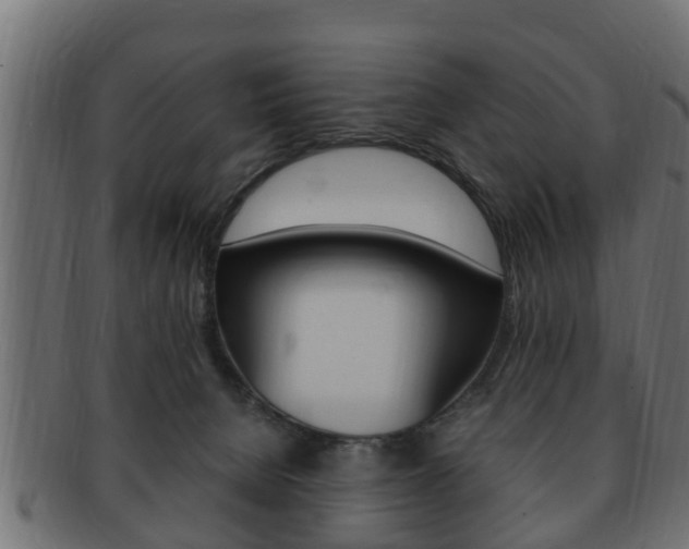 X0000092330080200709141126