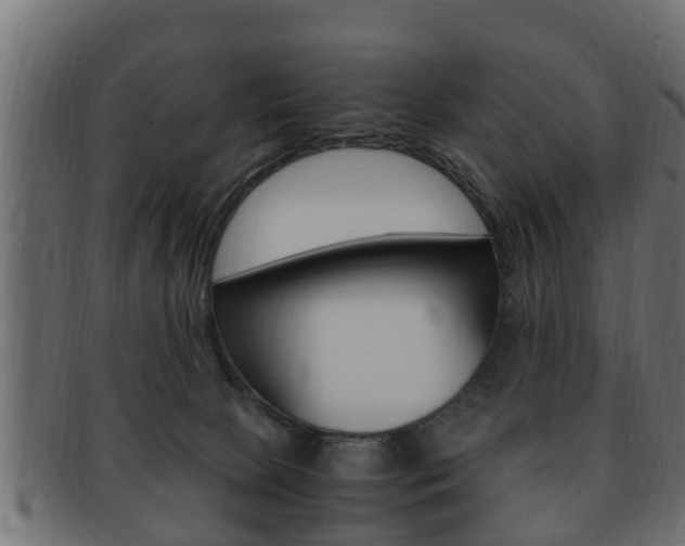 X0000092330081200709141126