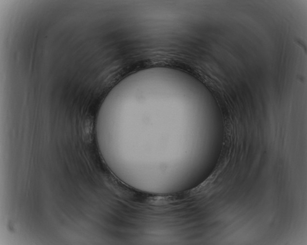 X0000092330082200709141126