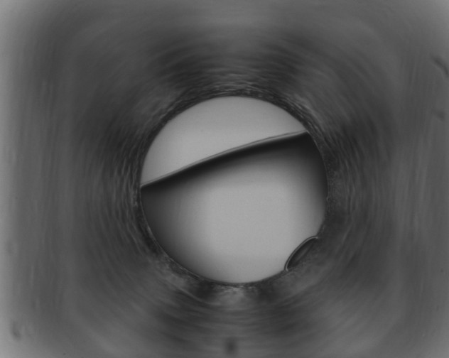 X0000092330083200709141126