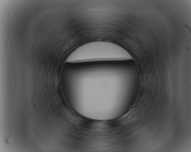 X0000092330086200709141126