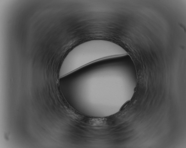 X0000092330089200709141126
