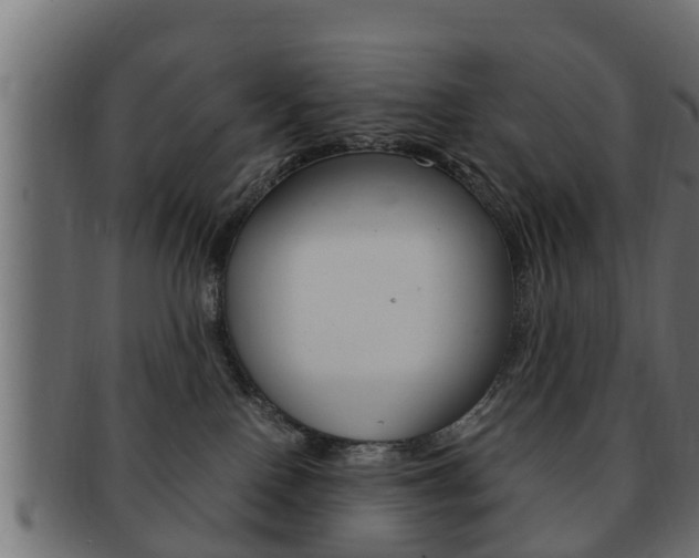 X0000092330090200709141126
