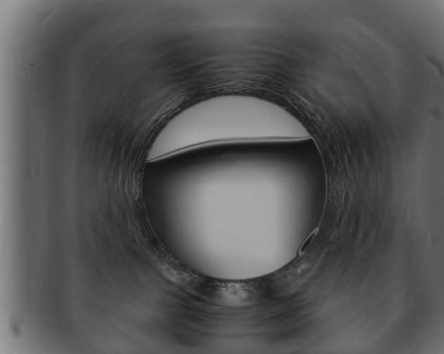 X0000092330091200709141126