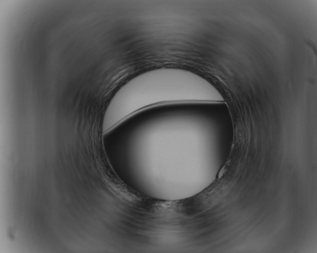 X0000092330092200709141126
