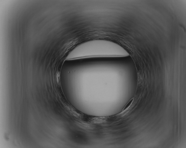 X0000092330094200709141126
