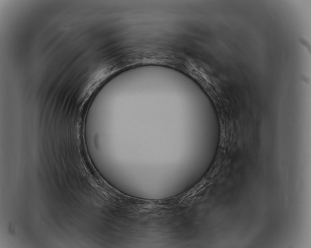 X0000092330098200709141125