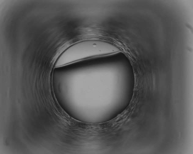 X0000092330099200709141125
