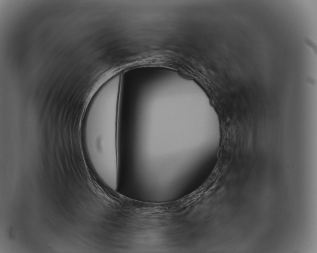 X0000092330100200709141125