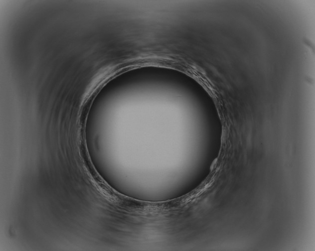 X0000092330101200709141125