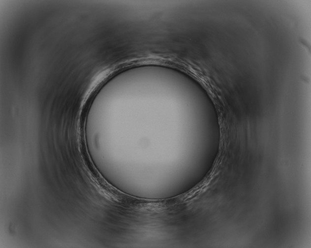 X0000092330102200709141125