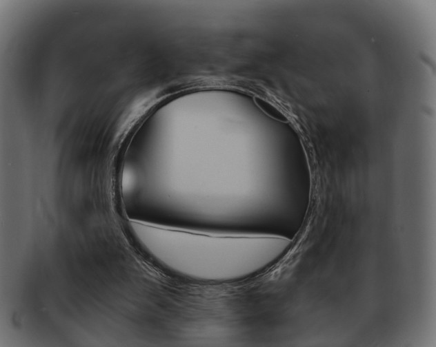 X0000092330103200709141125