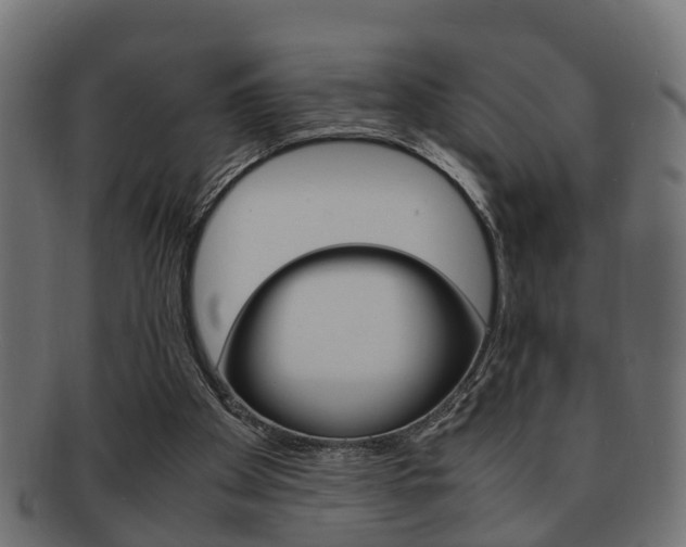 X0000092330105200709141125