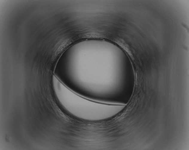 X0000092330109200709141125