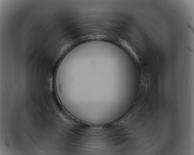 X0000092330110200709141125