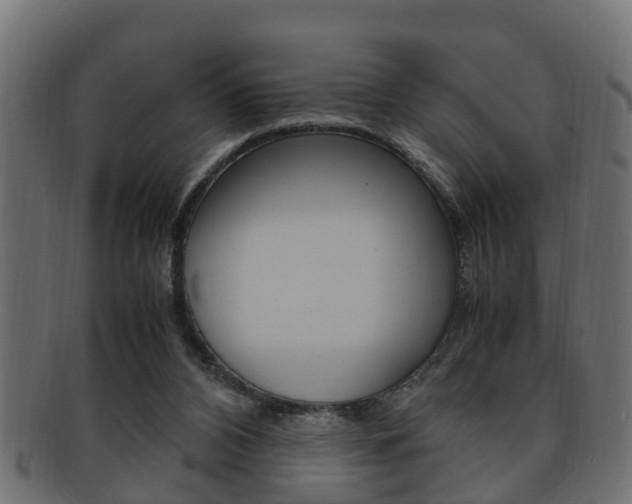 X0000092330112200709141125
