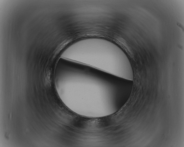 X0000092330116200709141125