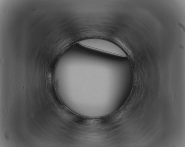 X0000092330117200709141125
