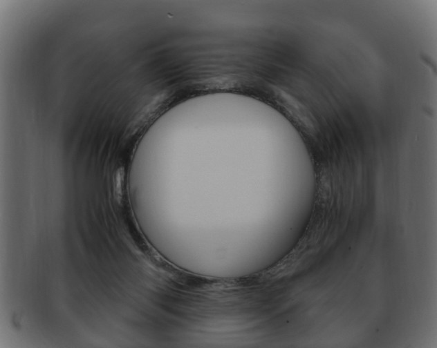 X0000092330118200709141125