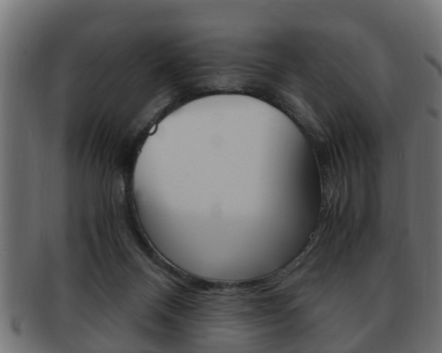 X0000092330120200709141125