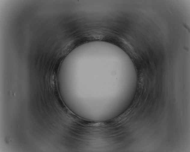 X0000092330122200709141125