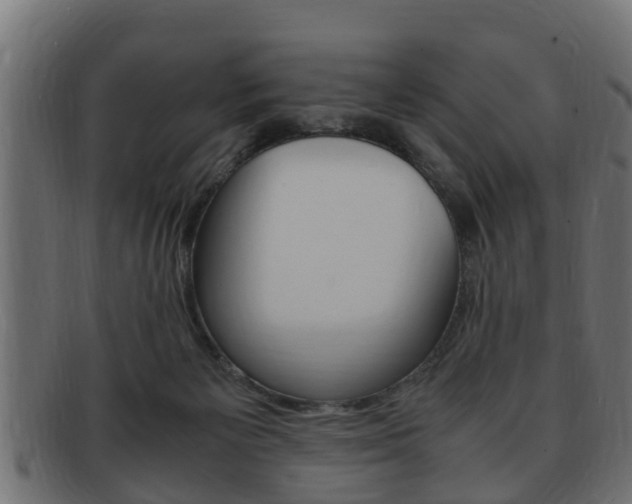X0000092330125200709141125