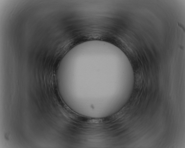 X0000092330126200709141125
