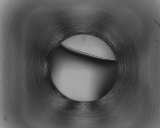 X0000092330128200709141125