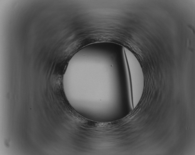 X0000092330141200709141125