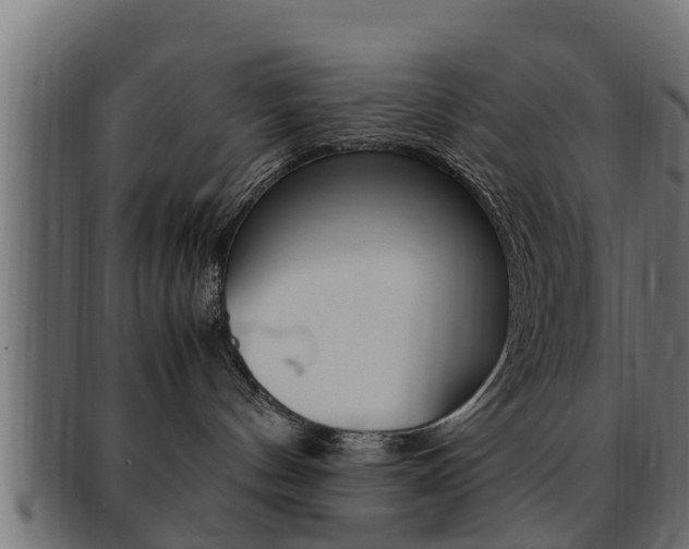 X0000092330144200709141125