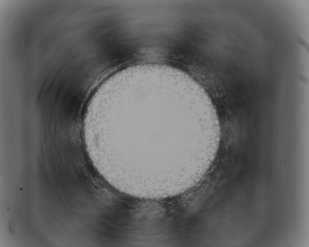 X0000092330146200709141124