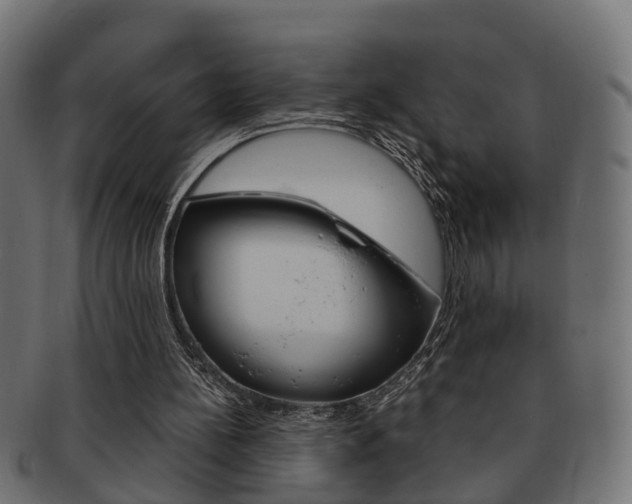 X0000092330148200709141124