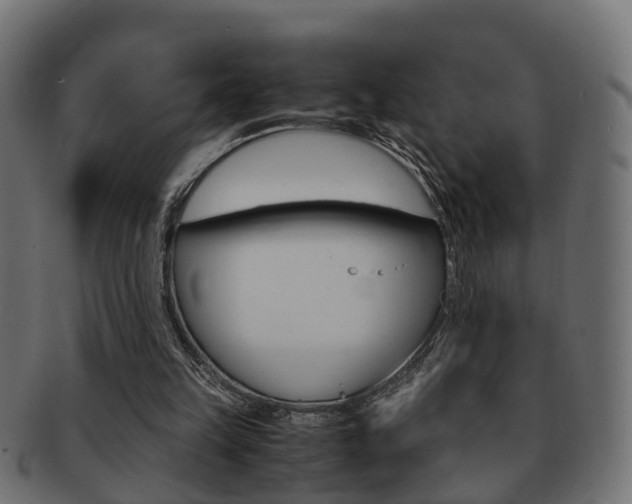 X0000092330149200709141124