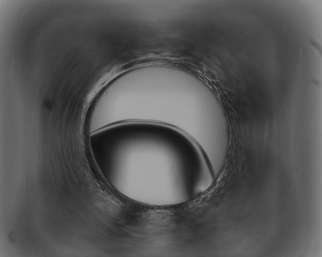 X0000092330150200709141124
