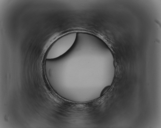 X0000092330151200709141124