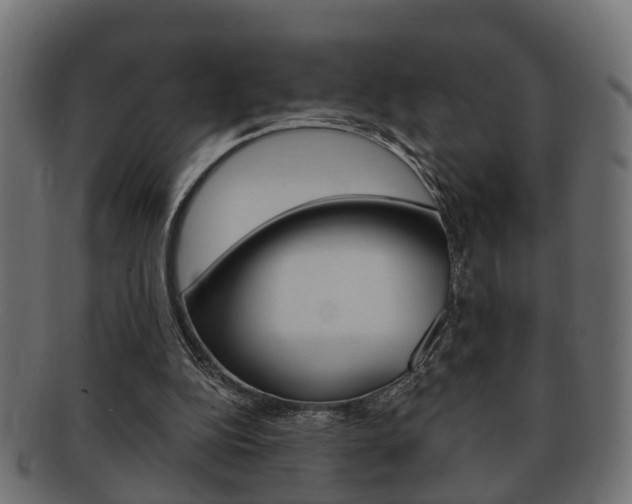 X0000092330152200709141124