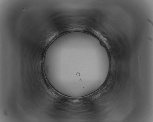 X0000092330153200709141124
