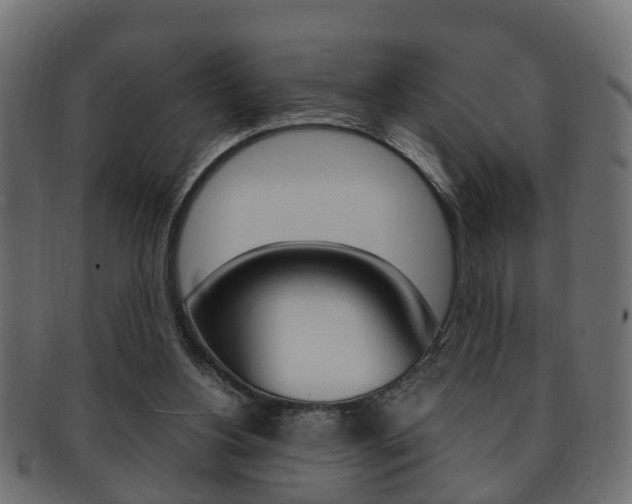 X0000092330156200709141124