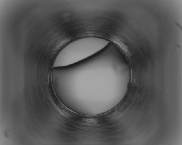 X0000092330157200709141124