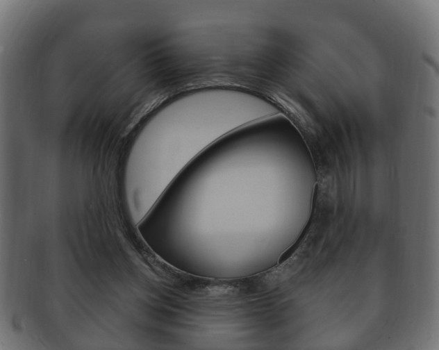 X0000092330158200709141124
