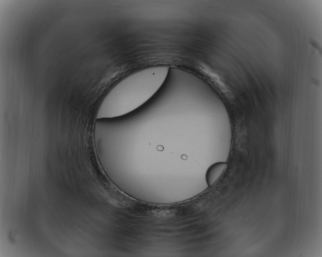 X0000092330161200709141124