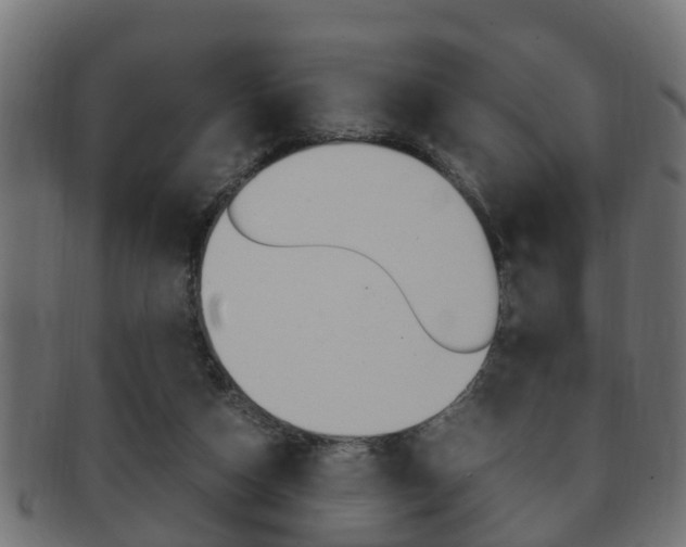 X0000092330162200709141124