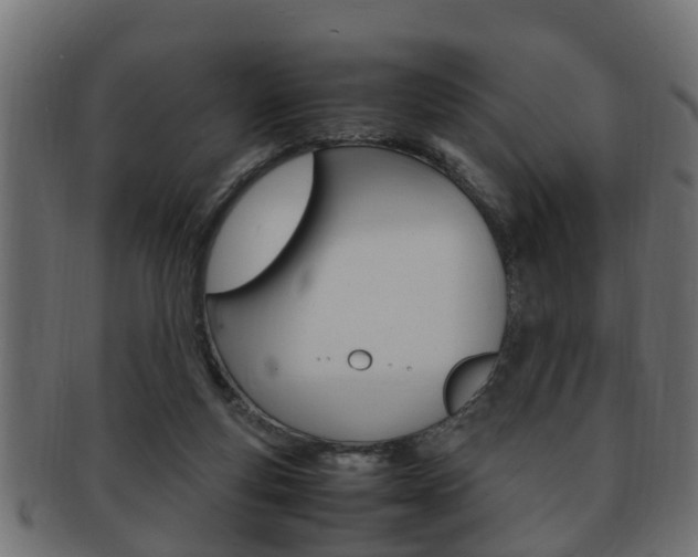 X0000092330163200709141124