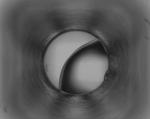 X0000092330164200709141124