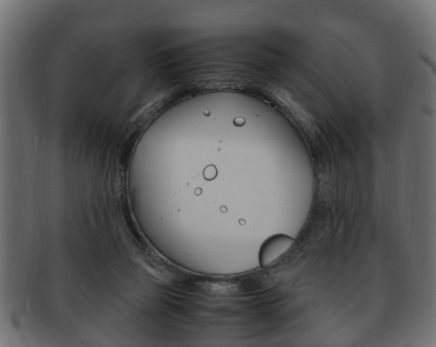 X0000092330165200709141124