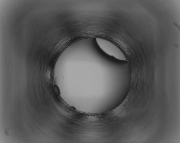 X0000092330166200709141124