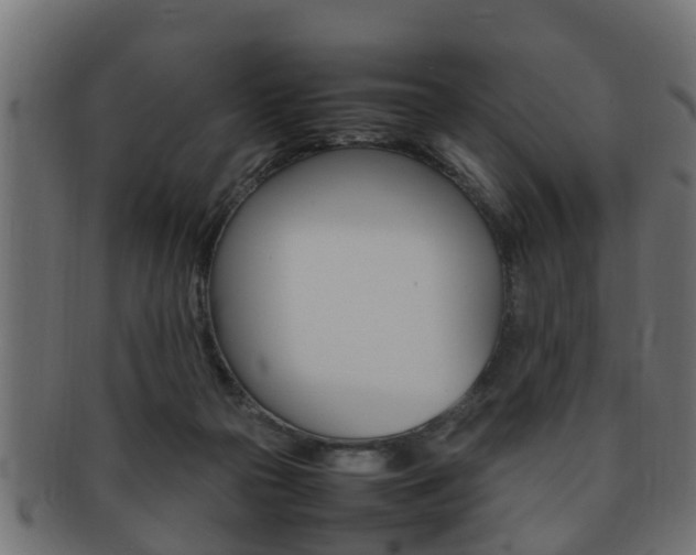 X0000092330169200709141124